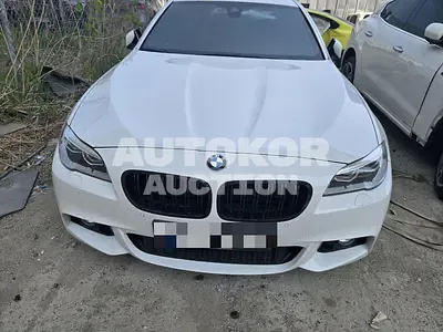 2016, BMW / 520, 193995 км., diesel, 1995 куб.см.