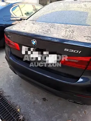 2018, BMW / 530, VIN: WBAJD9109JB277521, 132078 км., gas