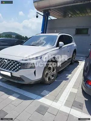 2020, Hyundai / Santa FE, VIN: KMHS381HGMU323979, diesel
