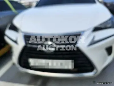2019, Lexus / NX 300, 113138 км., hybrid