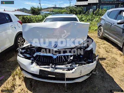 2021, BMW / 520, VIN: WBA11BH01MCG21866, gas