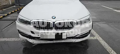 2019, BMW / 520, 132699 км., diesel, 1998 куб.см.