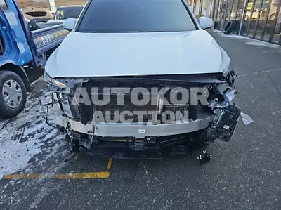 2021, Hyundai / Santa FE, VIN: KMHS381HGMU332744, 195759 км., diesel, 2200 куб.см.