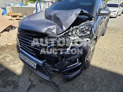 2020, Hyundai / Tucson, VIN: KMHJ3817GLU295476, 154130 км., diesel