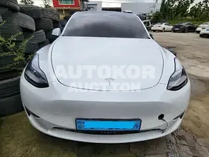 2021, Tesla / Model Y, VIN: 5YJYGDEE5MF171733, electric
