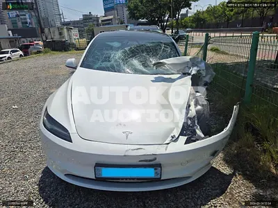 2025, Tesla / Model 3, VIN: LRW3E7FS1SC474411, electric, 1 куб.см.