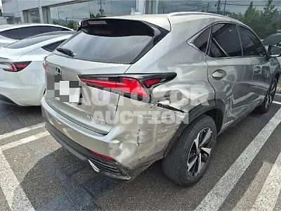 2021, Lexus / nx300h, 53319 км., hybrid, 2494 куб.см.