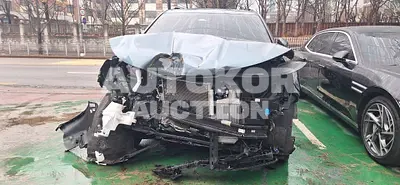 2023, Kia / Carnival, VIN: KNANE81BBPS228246, 32820 км., diesel