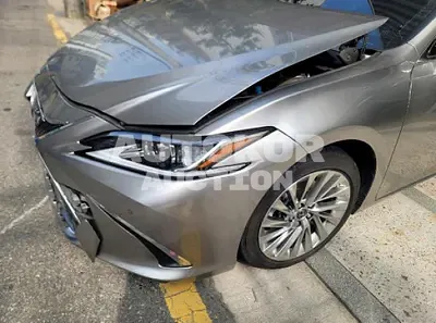 2019, Lexus / es300h, VIN: JTHB21B12K2065193, 69225 км., hybrid