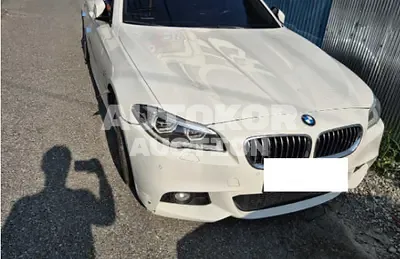 2016, BMW / 520, 305065 км., diesel