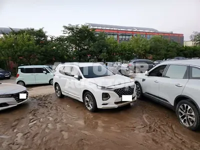 2019, Hyundai / Santa FE, VIN: KMHS581BBKU151183, diesel