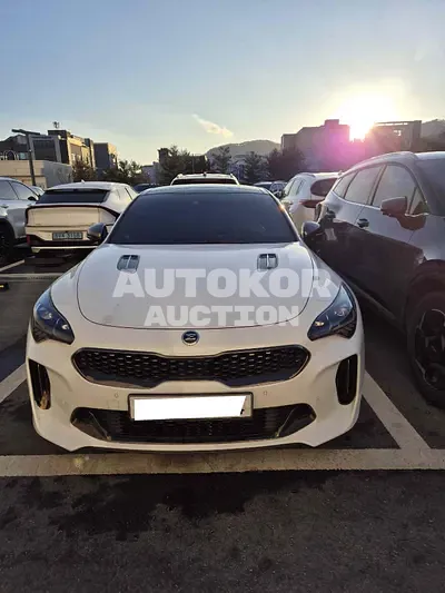 2020, Kia / Stinger, VIN: KNAE751CDLS079047, 35660 км., gas, 3342 куб.см.
