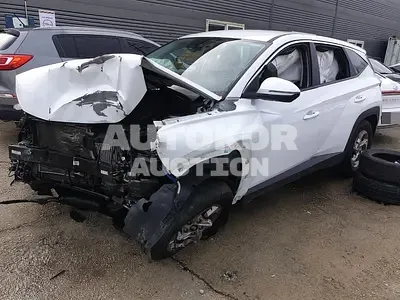 2022, Hyundai / Tucson, 28372 км., gas