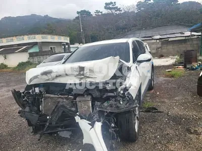 2019, Hyundai / Santa FE, VIN: KMHS281BBKU150718, 96217 км., diesel, 2000 куб.см.