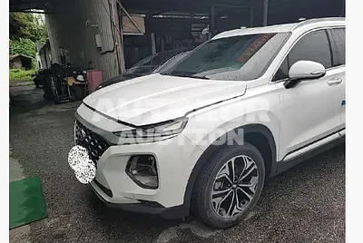 2020, Hyundai / Santa FE, VIN: KMHS281BBLU291554, diesel