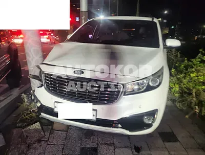 2018, Kia / Carnival, 41142 км., diesel