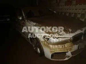 2017, BMW / 530, gas
