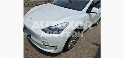 2023, Tesla / Model Y, 29490 км., electric, 160 куб.см.