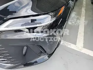 2024, Lexus / RX 350, unknown