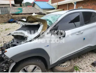 2019, Hyundai / Kona, VIN: KMHK381GFKU047821, 60000 км., electric