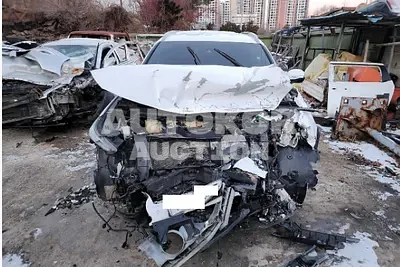 2019, Hyundai / Santa FE, VIN: KMHS281BDKU113892, diesel
