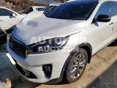 2018, Kia / Sorento, VIN: KNAPH81ABJA407076, 76633 км., diesel