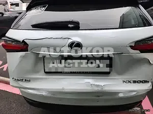 2015, Lexus / NX 300, VIN: JTJBJRBZ4G2030216, 107455 км., hybrid