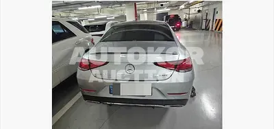 2022, Mercedes-Benz / CLS 450, 28969 км., gas, 2999 куб.см.