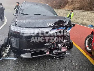 2025, Hyundai / ioniq 9, electric