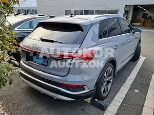 2022, Audi / e-tron, VIN: WAUZZZFZ7NP041356, 29000 км., electric