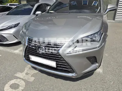 2019, Lexus / nx300h, VIN: JTJDJRDZ9L2127931, 75886 км., hybrid, 2494 куб.см.