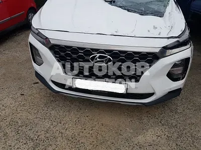 2019, Hyundai / Santa FE, VIN: KMHS381BDKU014130, diesel