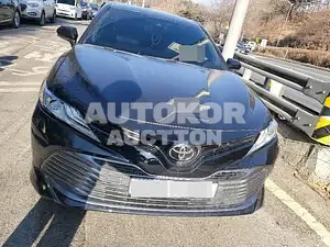 2019, Toyota / Camry, VIN: JTNB11HK9K3099173, gas