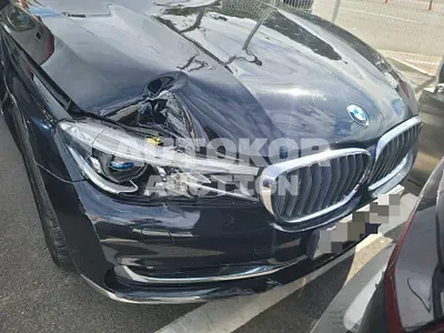 2018, BMW / 750, 219739 км., gas, 4395 куб.см.