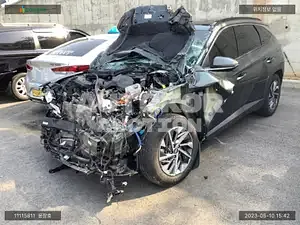 2020, Hyundai / Tucson, VIN: KMHJE811BMU005420, hybrid