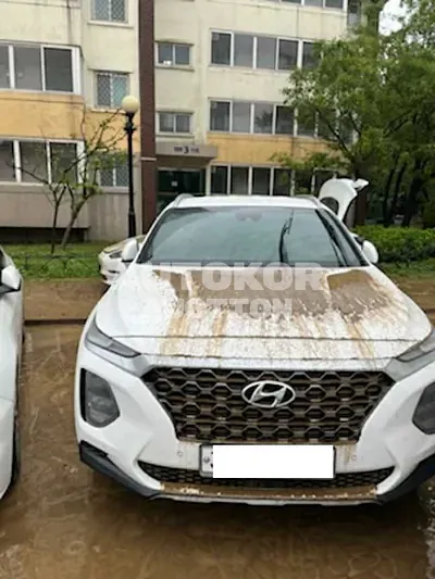 2020, Hyundai / Santa FE, VIN: KMHS281ABLU240212, diesel