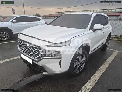 2020, Hyundai / Santa FE, VIN: KMHS281HGMU317005, 87372 км., diesel, 2151 куб.см.