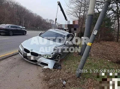 2017, BMW / 320, 130930 км., diesel, 1995 куб.см.