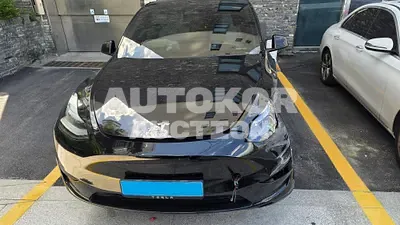 2023, Tesla / Model Y, VIN: LRWYGCFS1RC274597, 33891 км., electric, 1 куб.см.