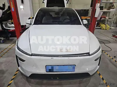 2025, Tesla / Model Y, 6812 км., electric