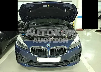 2021, BMW / 2 Series Gran Tourer, VIN: WBA6T9101M7H02295, 29082 км., diesel