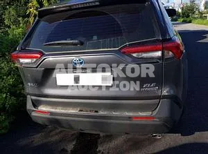 2019, Toyota / RAV4, VIN: JTMW2RFV1KD019650, hybrid, 2487 куб.см.