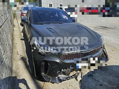 2019, Kia / Stinger, 102754 км., gas, 3300 куб.см.