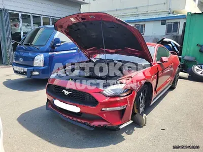 2020, Ford / Mustang, VIN: 1FA6P8TH4L5132570, gas