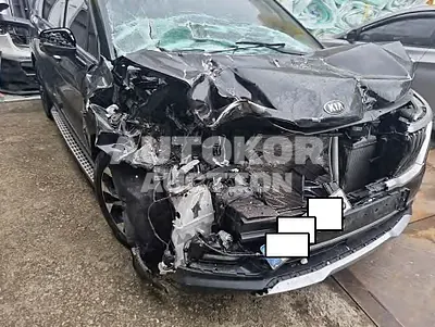 2021, Kia / Carnival, VIN: KNANE81BBMS045451, diesel