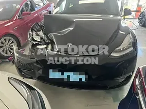2022, Tesla / Model Y, VIN: 7SAYGDEE7NF565867, 8294 км., electric