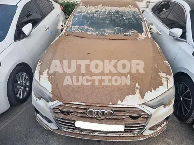2021, Audi / A6, VIN: WAUZZZF23MN006262, 50000 км., diesel