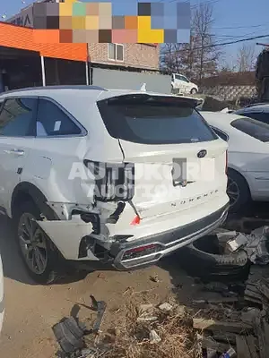 2020, Kia / Sorento, VIN: KNAPH81ABLA602766, 500000 км., diesel, 2199 куб.см.