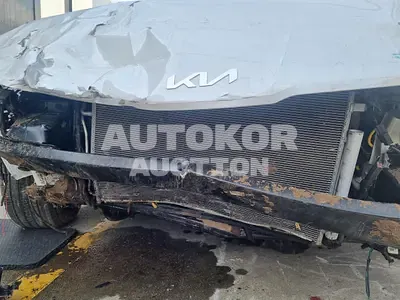 2023, BMW / B5, VIN: KNAG241ABPA224922, gas