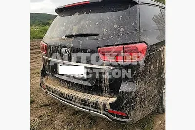 2019, Kia / Carnival, VIN: KNAMB81ABKS567289, diesel